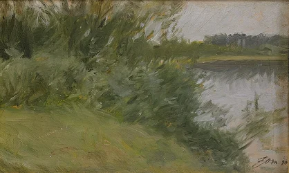 Sziget Saxvikenben 1890